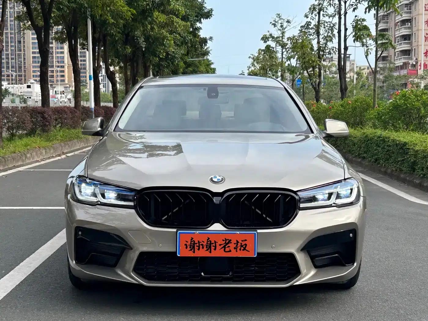 BMW 5 Series 2011 523Li Luxury — миниатюра 2