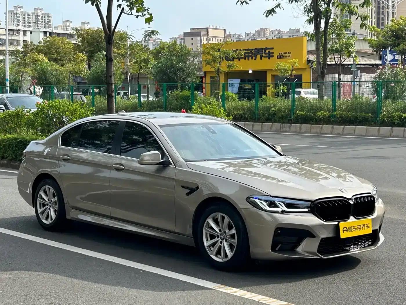 BMW 5 Series 2011 523Li Luxury — миниатюра 6