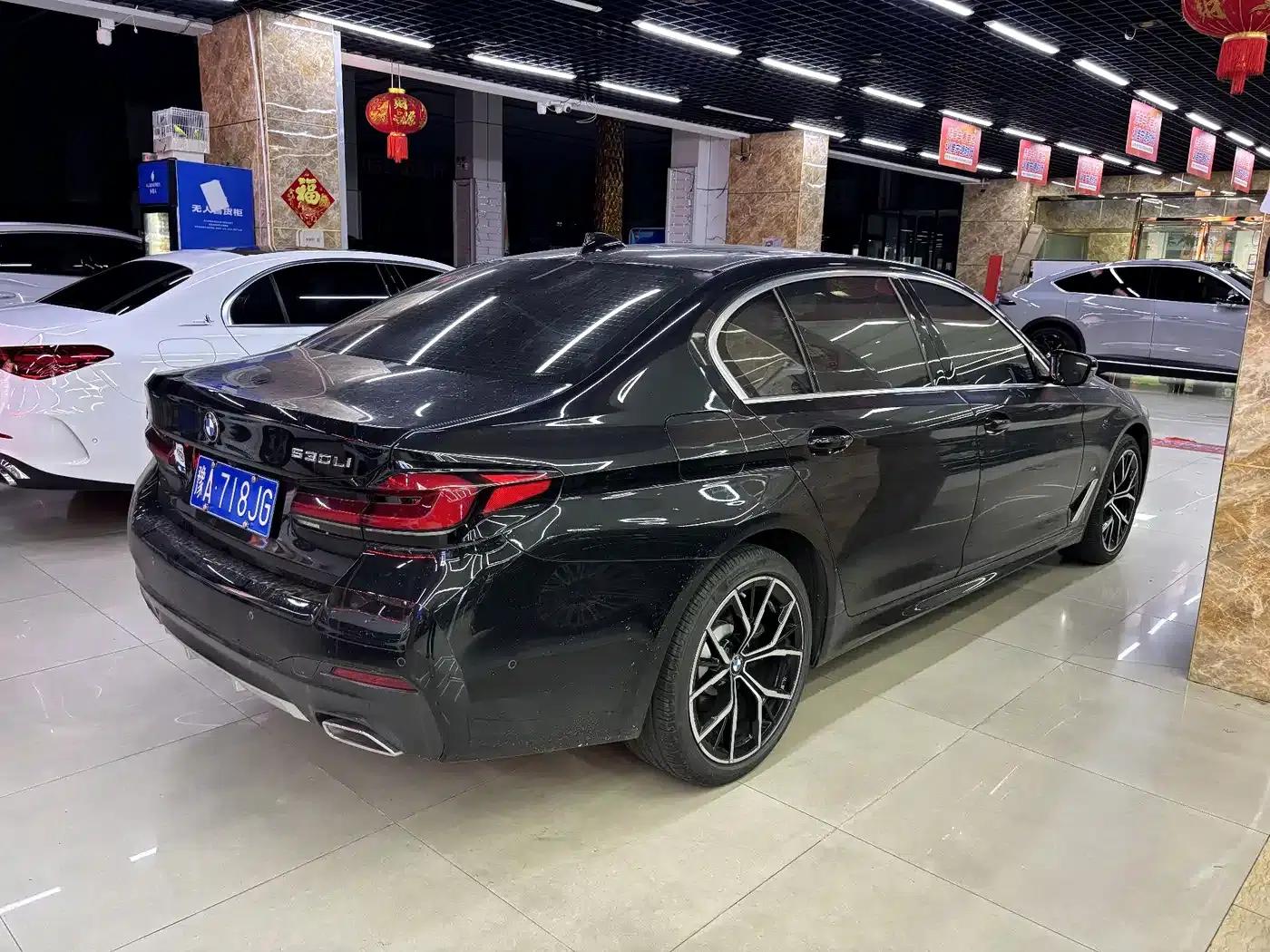 2022 BMW 5 Series Facelift 530Li Luxury M Sport Package — миниатюра 8