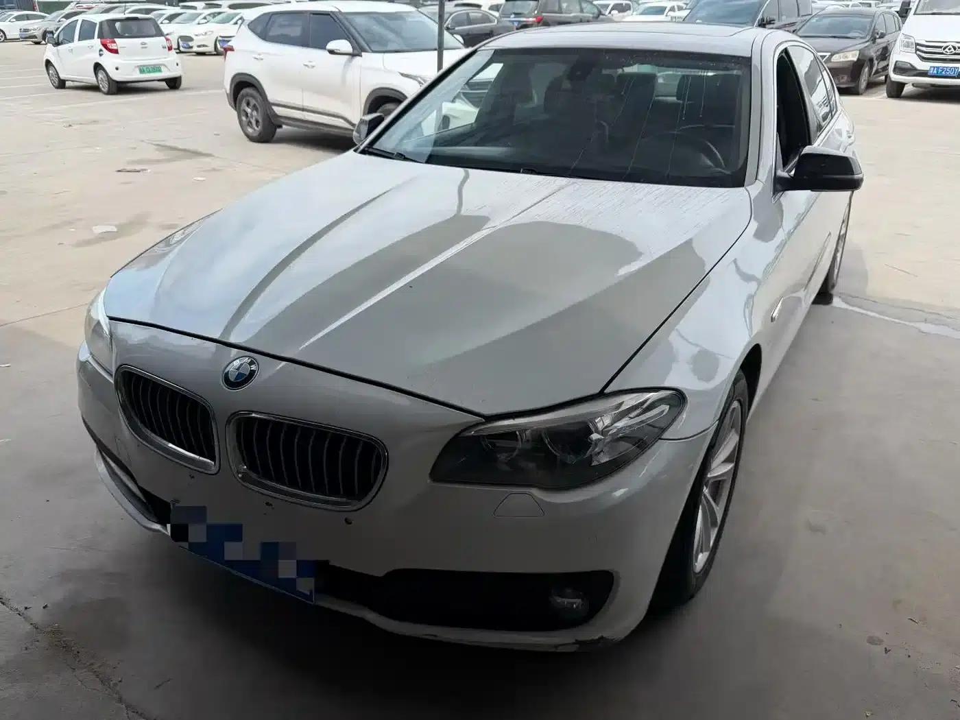 2014 BMW 5 Series 520Li Elegant Edition — миниатюра 1