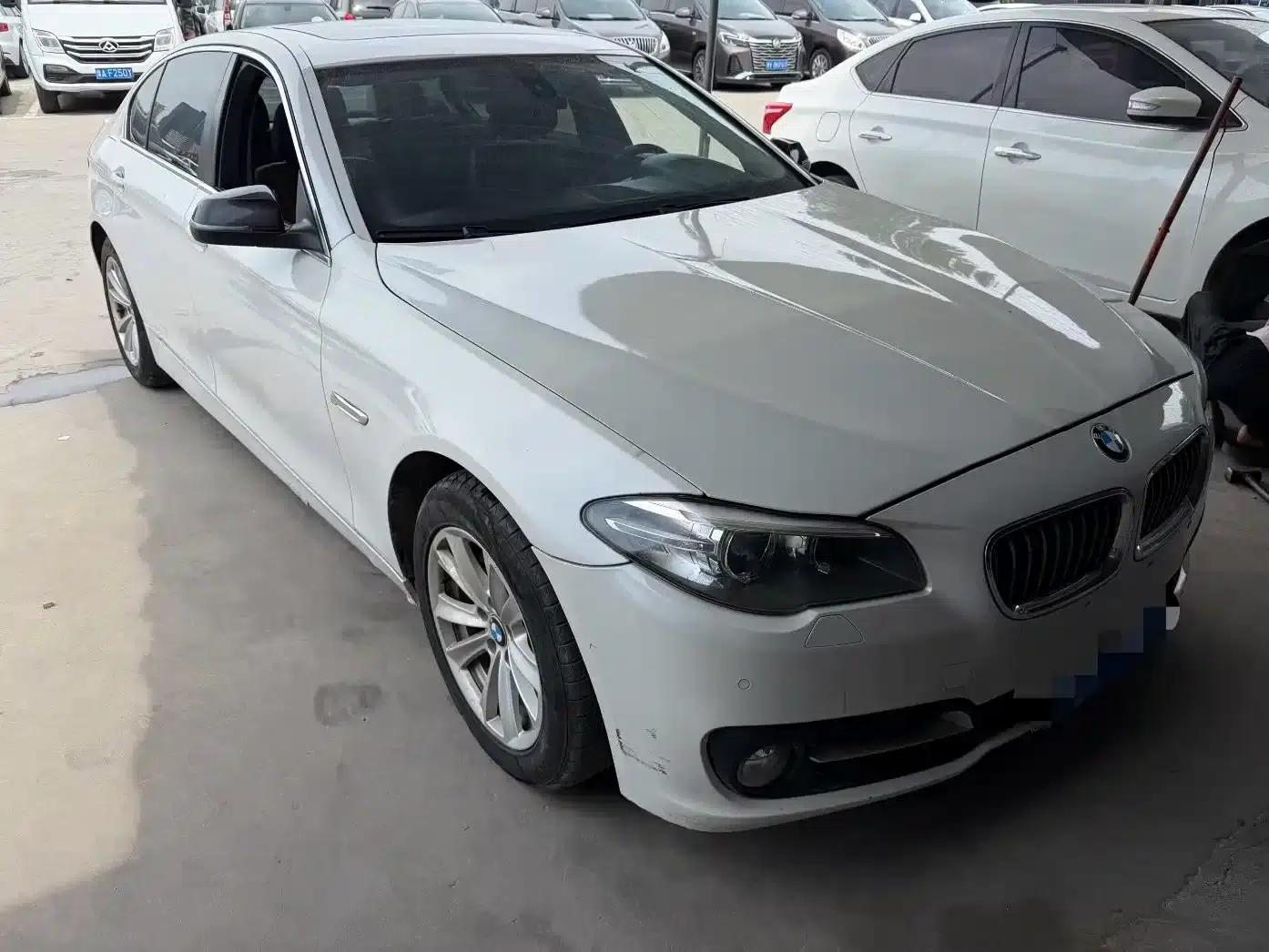 2014 BMW 5 Series 520Li Elegant Edition — миниатюра 2