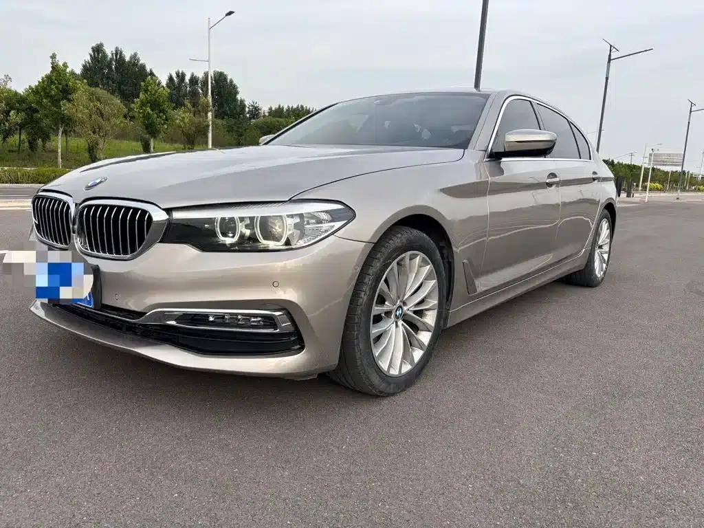 2019 BMW 5 Series 525Li Luxury Package — миниатюра 1