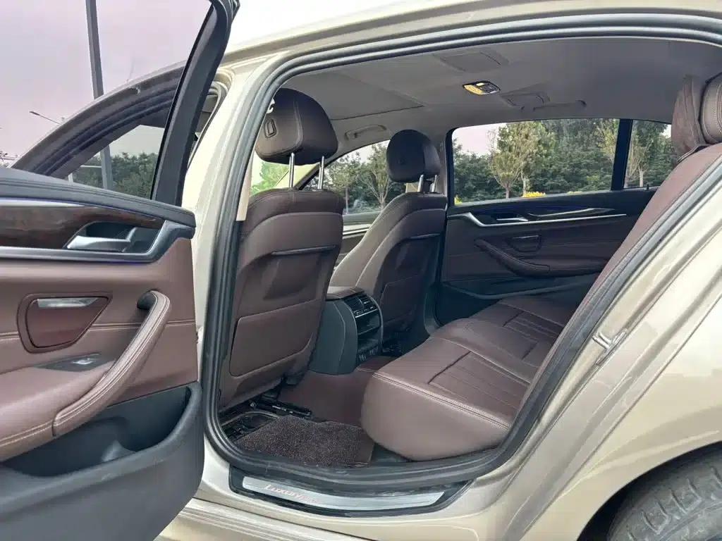 2019 BMW 5 Series 525Li Luxury Package — миниатюра 6