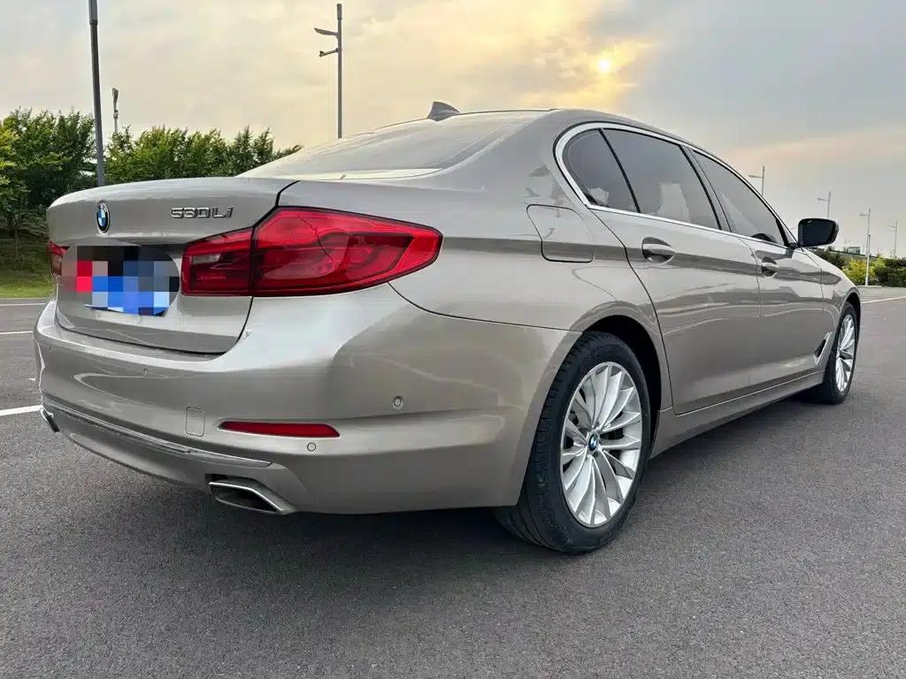 2019 BMW 5 Series 525Li Luxury Package — миниатюра 9