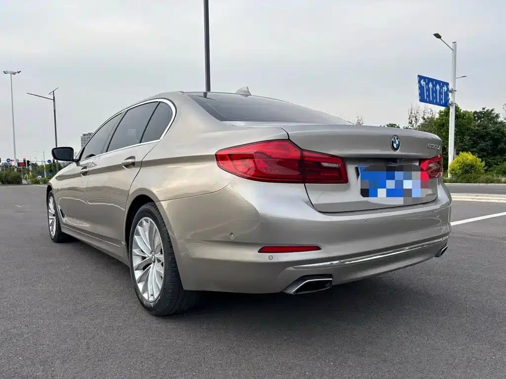 2019 BMW 5 Series 525Li Luxury Package — миниатюра 10