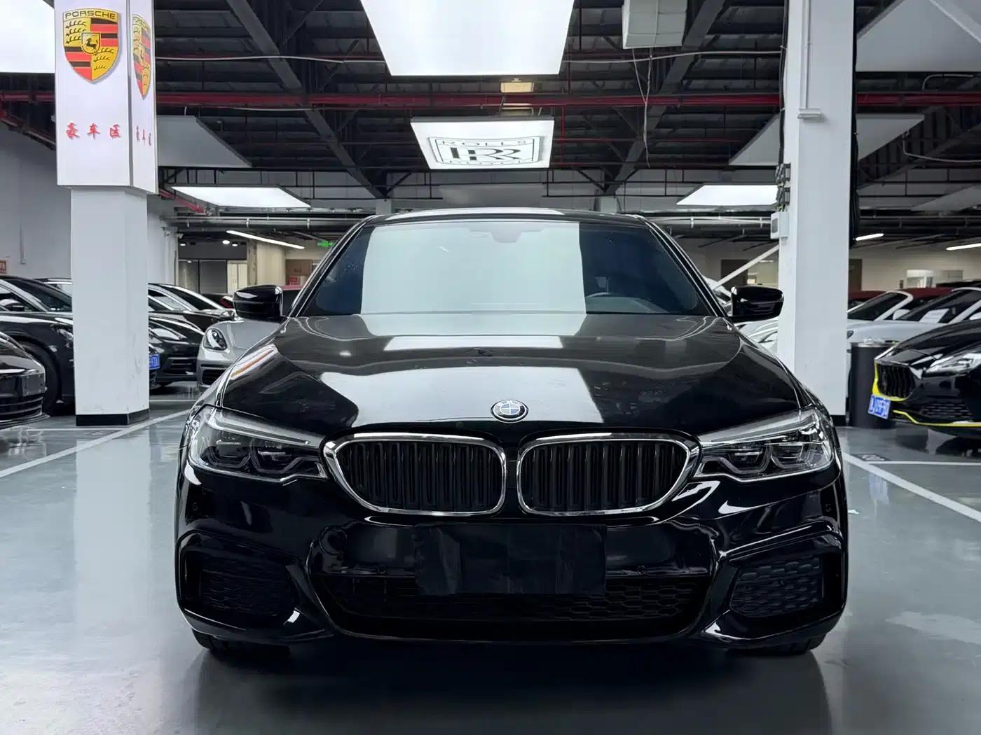 2020 BMW 5 Series 530Li Leading Edition M Sport Package — миниатюра 2