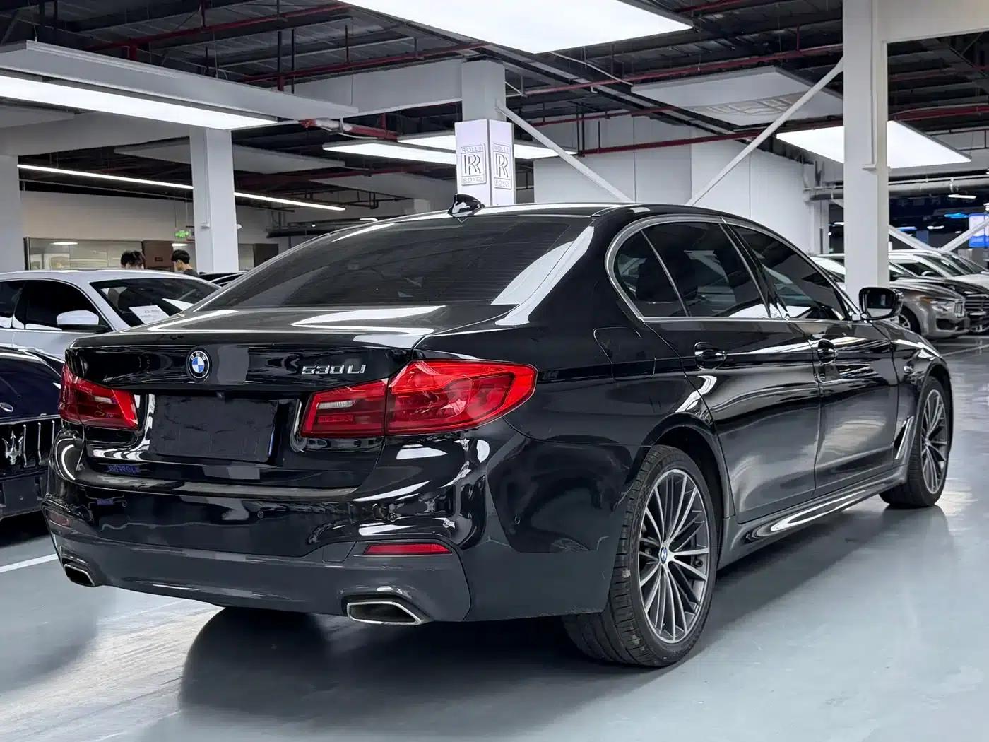2020 BMW 5 Series 530Li Leading Edition M Sport Package — миниатюра 20