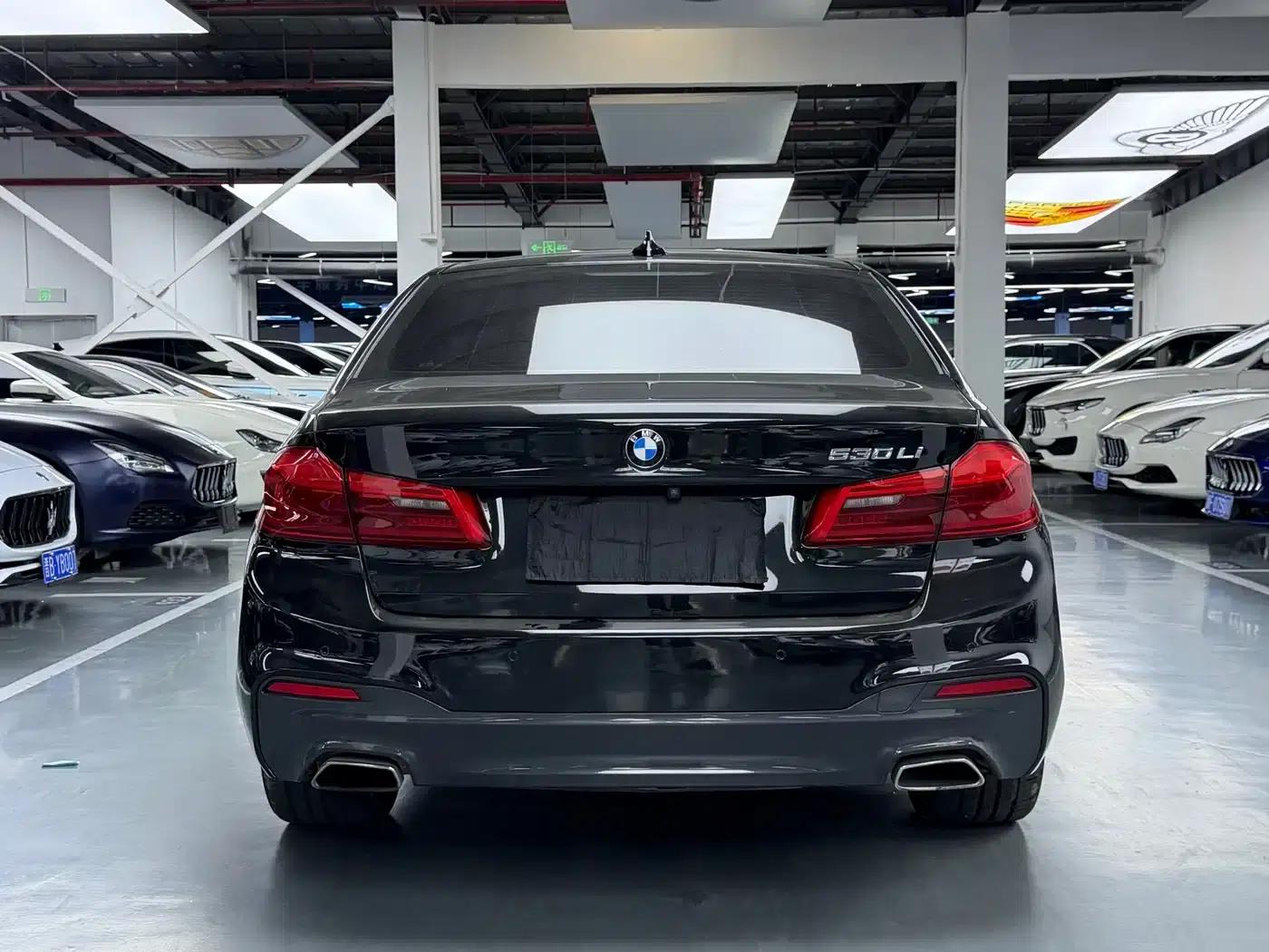 2020 BMW 5 Series 530Li Leading Edition M Sport Package — миниатюра 21