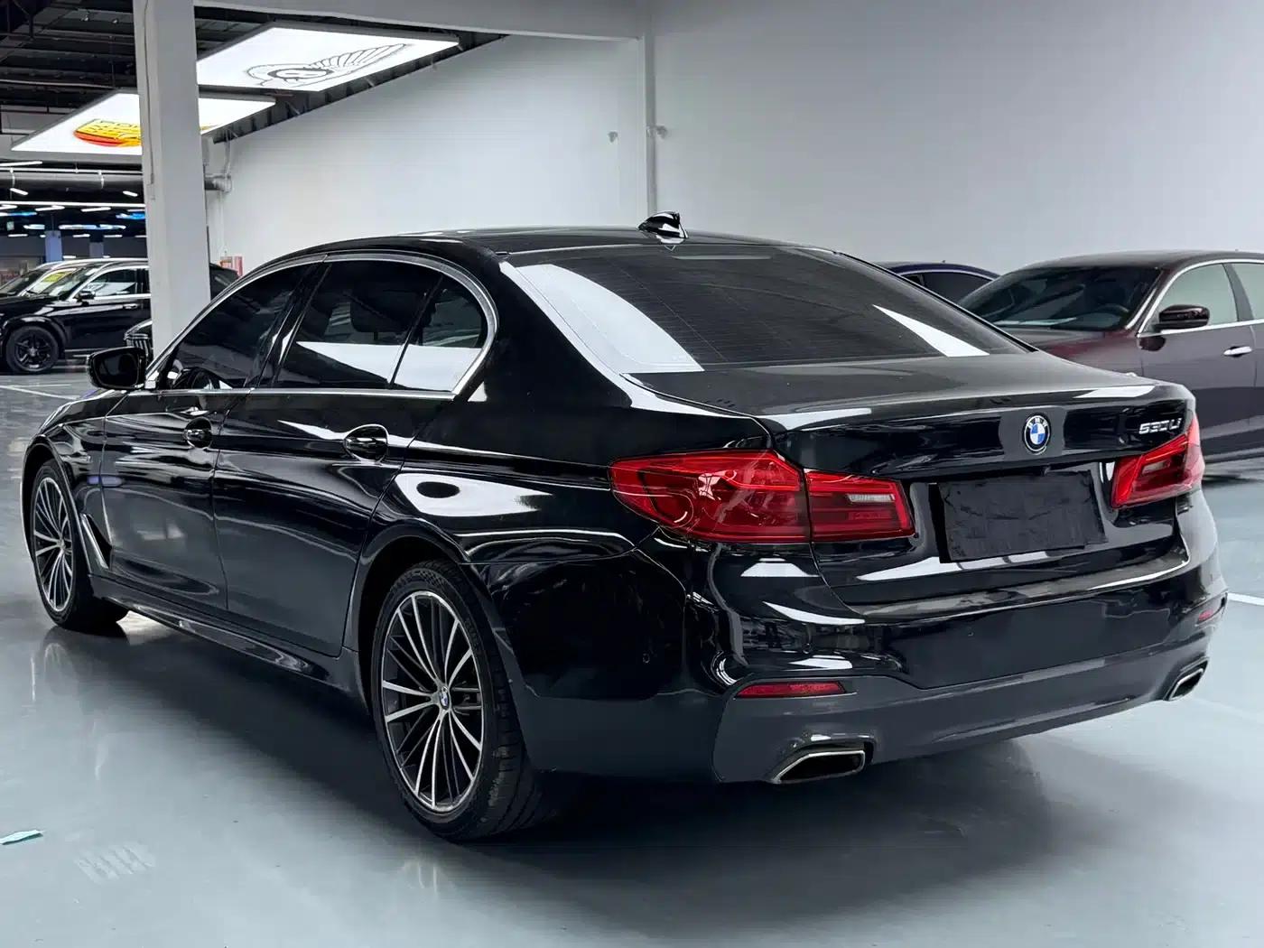 2020 BMW 5 Series 530Li Leading Edition M Sport Package — миниатюра 22