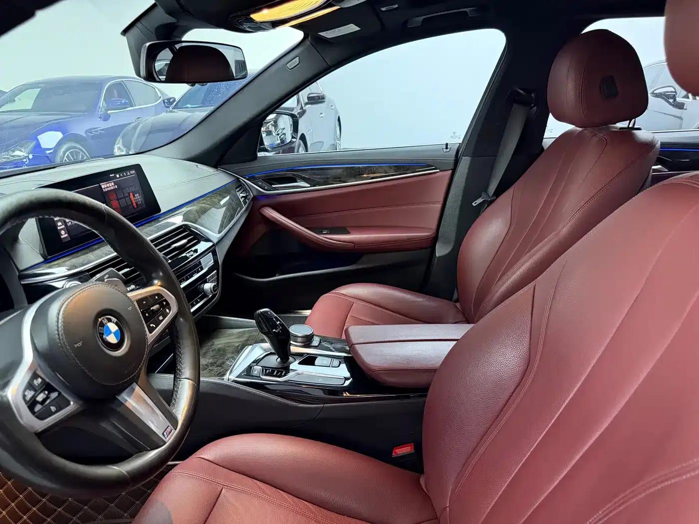 2020 BMW 5 Series 530Li Leading Edition M Sport Package — миниатюра 6