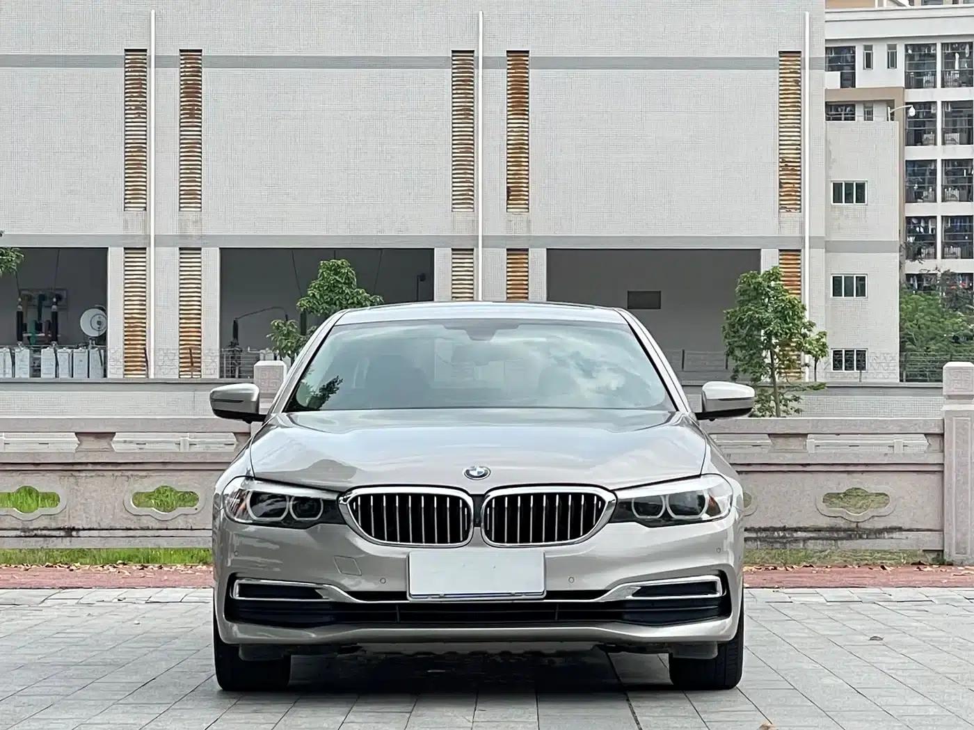 2020 BMW 5 Series 525Li Luxury Package — миниатюра 2