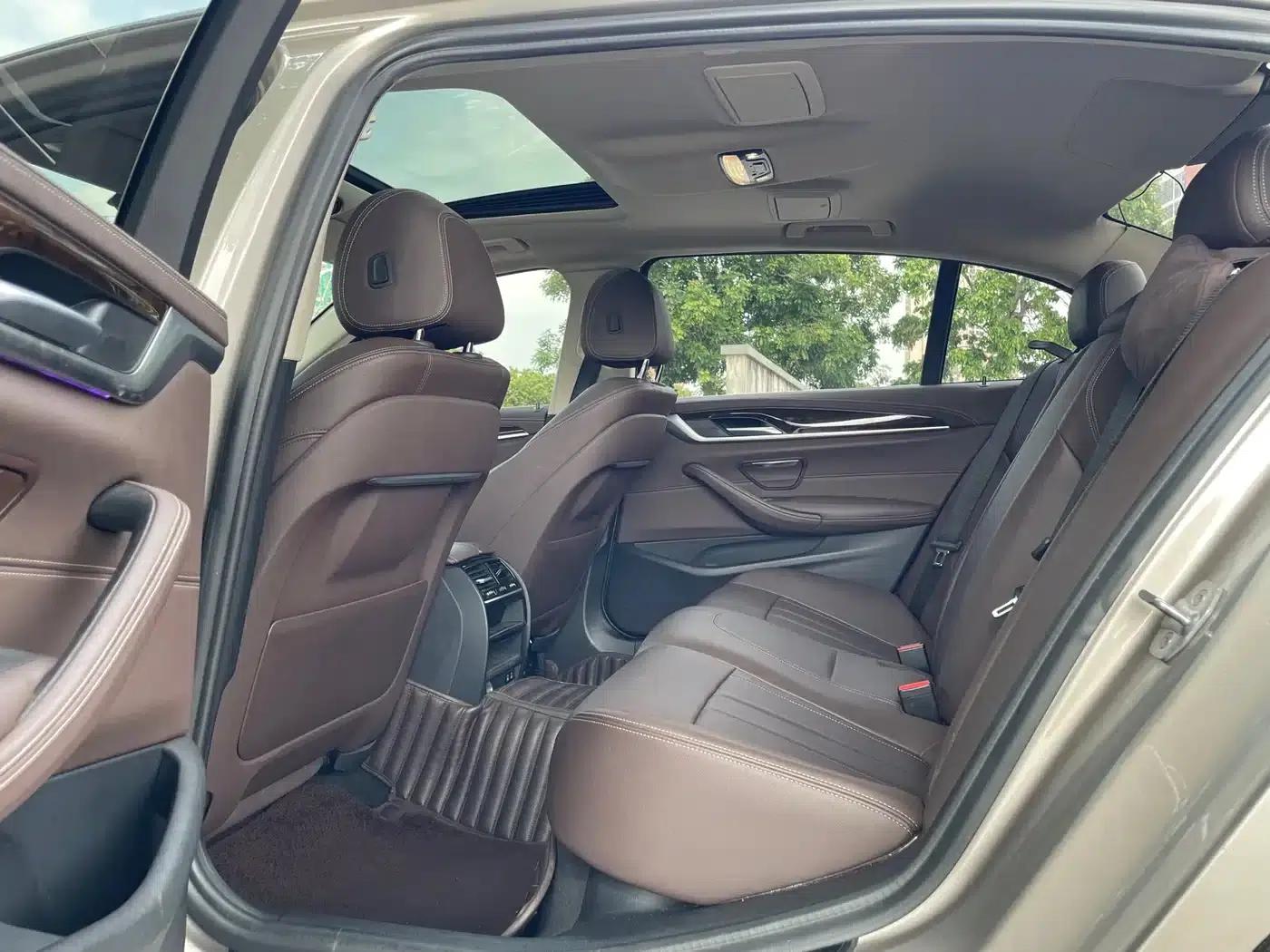 2020 BMW 5 Series 525Li Luxury Package — миниатюра 11