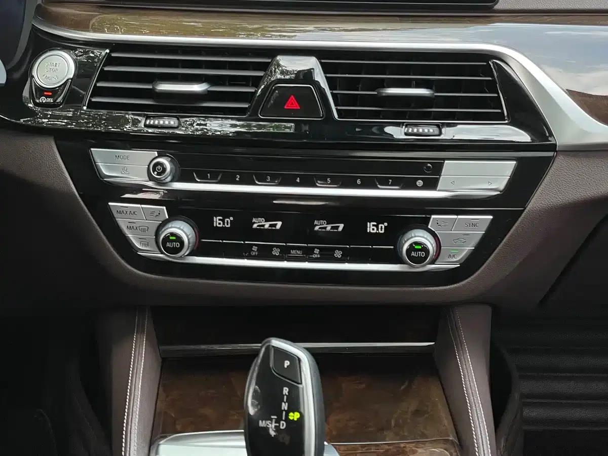 2020 BMW 5 Series 525Li Luxury Package — миниатюра 12