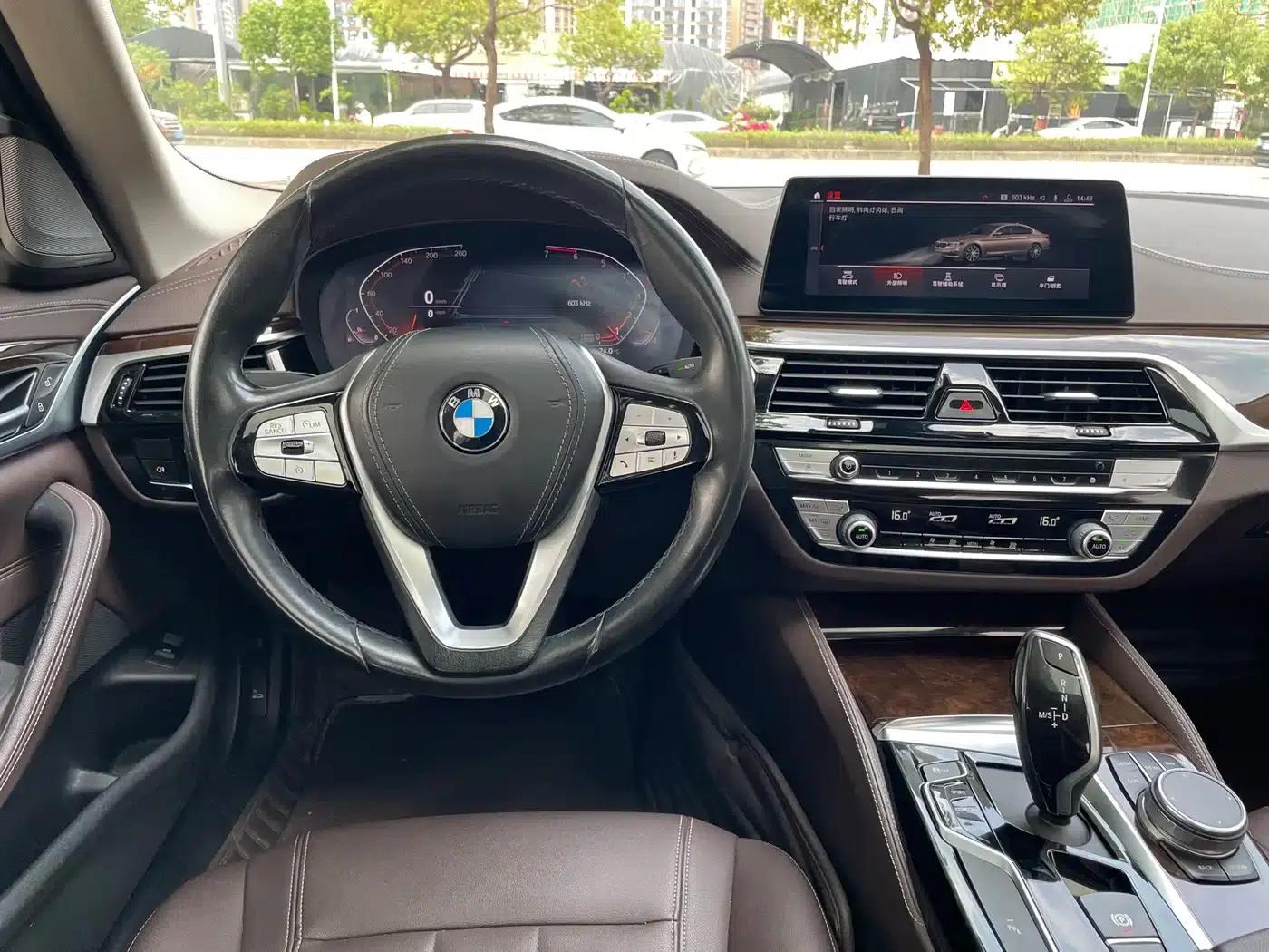 2020 BMW 5 Series 525Li Luxury Package — миниатюра 13