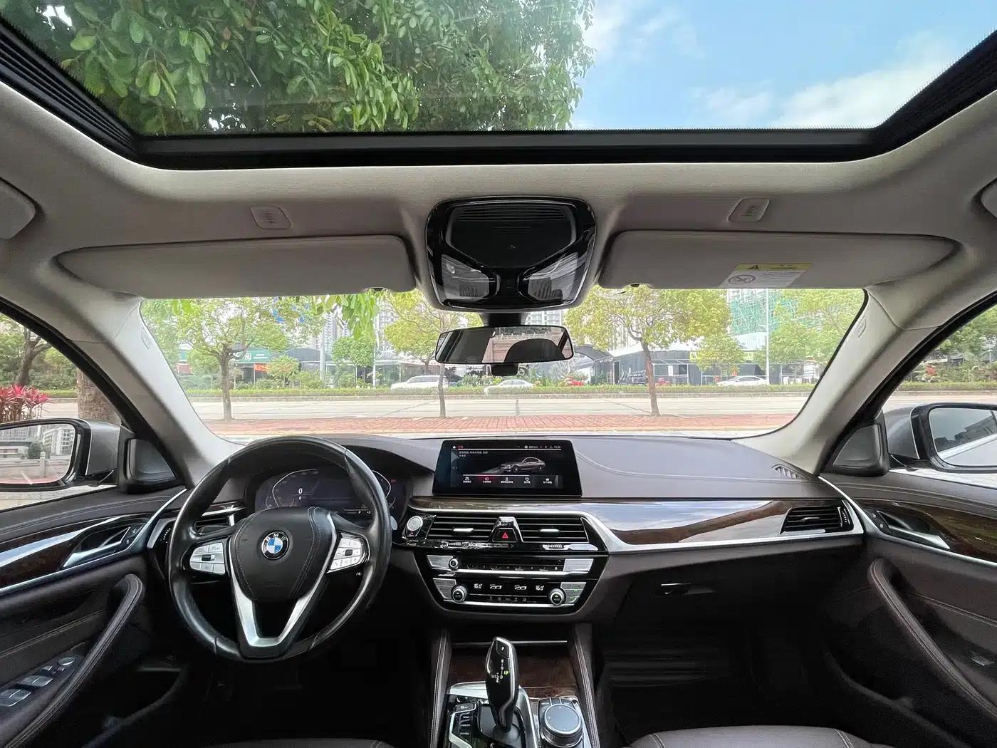 2020 BMW 5 Series 525Li Luxury Package — миниатюра 14