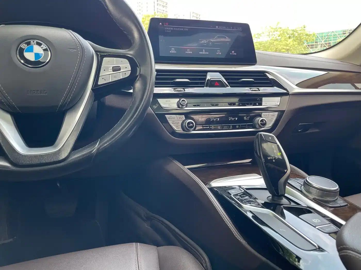 2020 BMW 5 Series 525Li Luxury Package — миниатюра 15