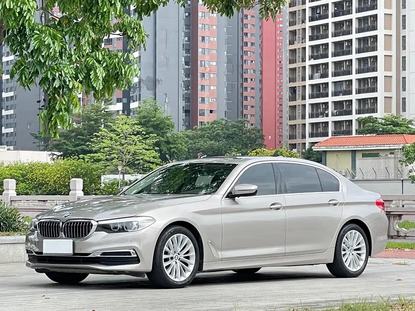 2020 BMW 5 Series 525Li Luxury Package — миниатюра 3