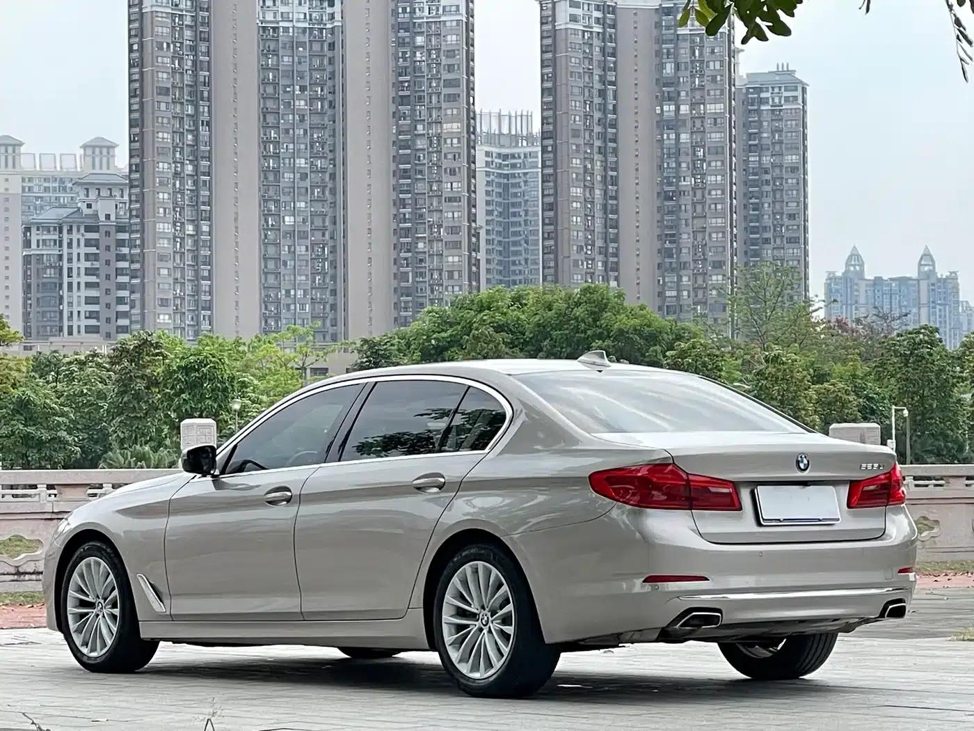 2020 BMW 5 Series 525Li Luxury Package — миниатюра 4