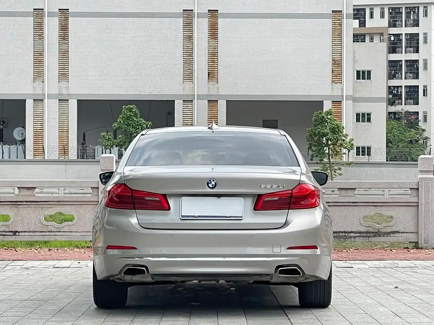 2020 BMW 5 Series 525Li Luxury Package — миниатюра 5