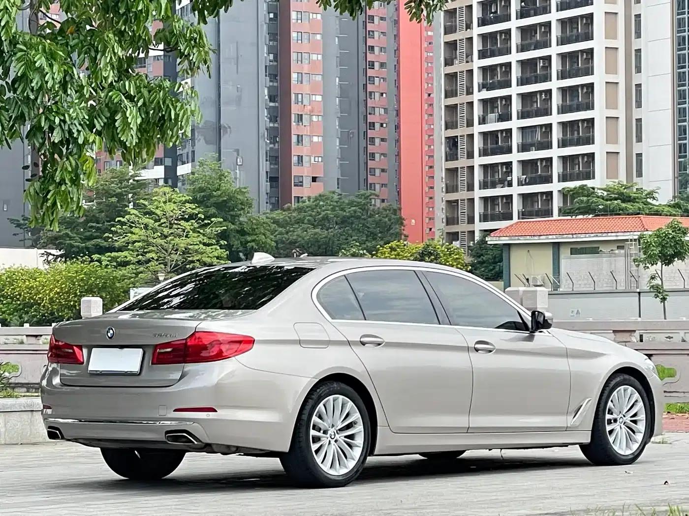 2020 BMW 5 Series 525Li Luxury Package — миниатюра 6