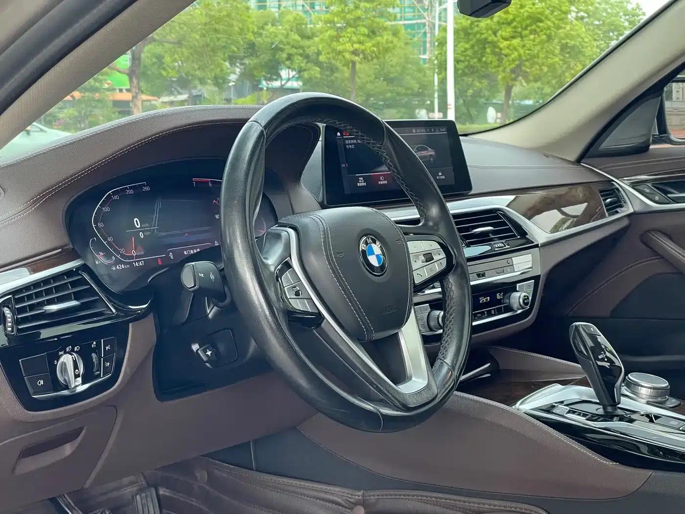 2020 BMW 5 Series 525Li Luxury Package — миниатюра 9
