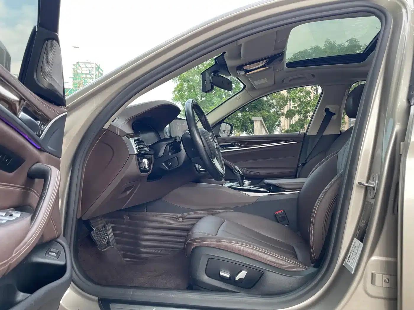 2020 BMW 5 Series 525Li Luxury Package — миниатюра 10