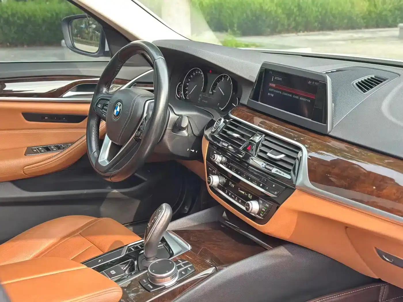 BMW 5 Series 2018 528Li Launch Special Edition — миниатюра 12