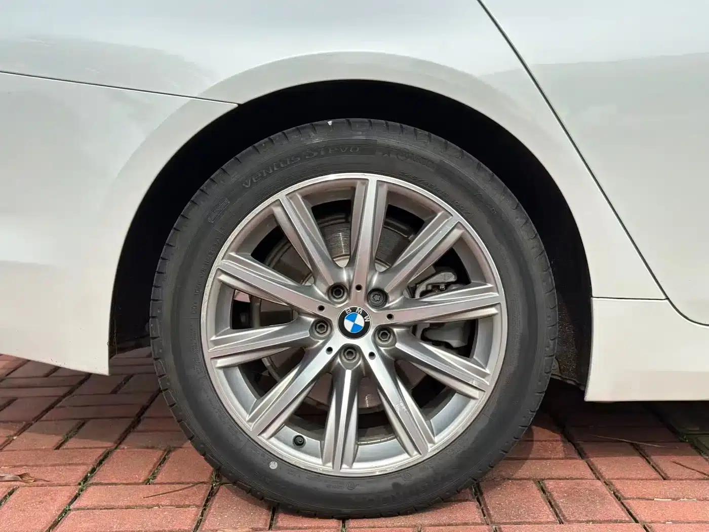 BMW 5 Series 2018 528Li Launch Special Edition — миниатюра 16