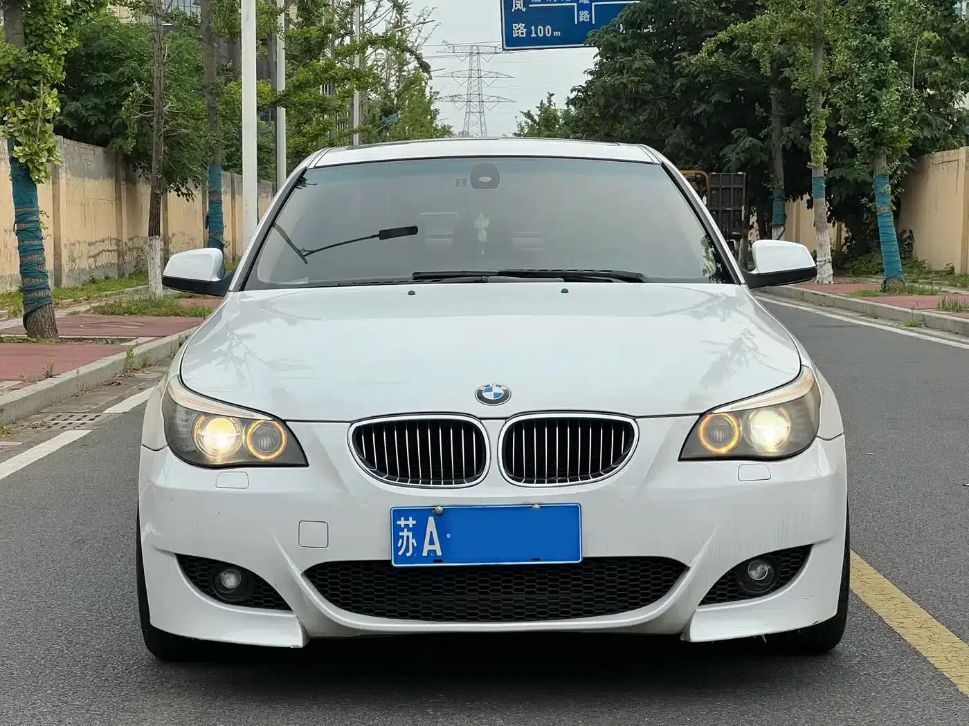 BMW 5 Series 2009 530Li Luxury — миниатюра 1