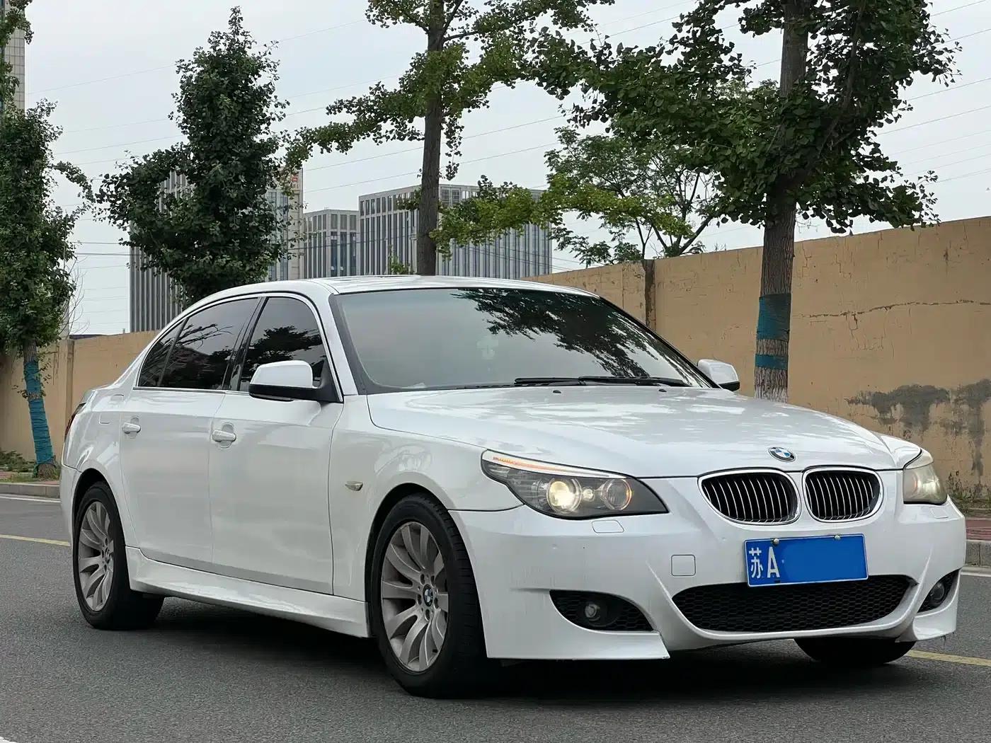 BMW 5 Series 2009 530Li Luxury — миниатюра 2