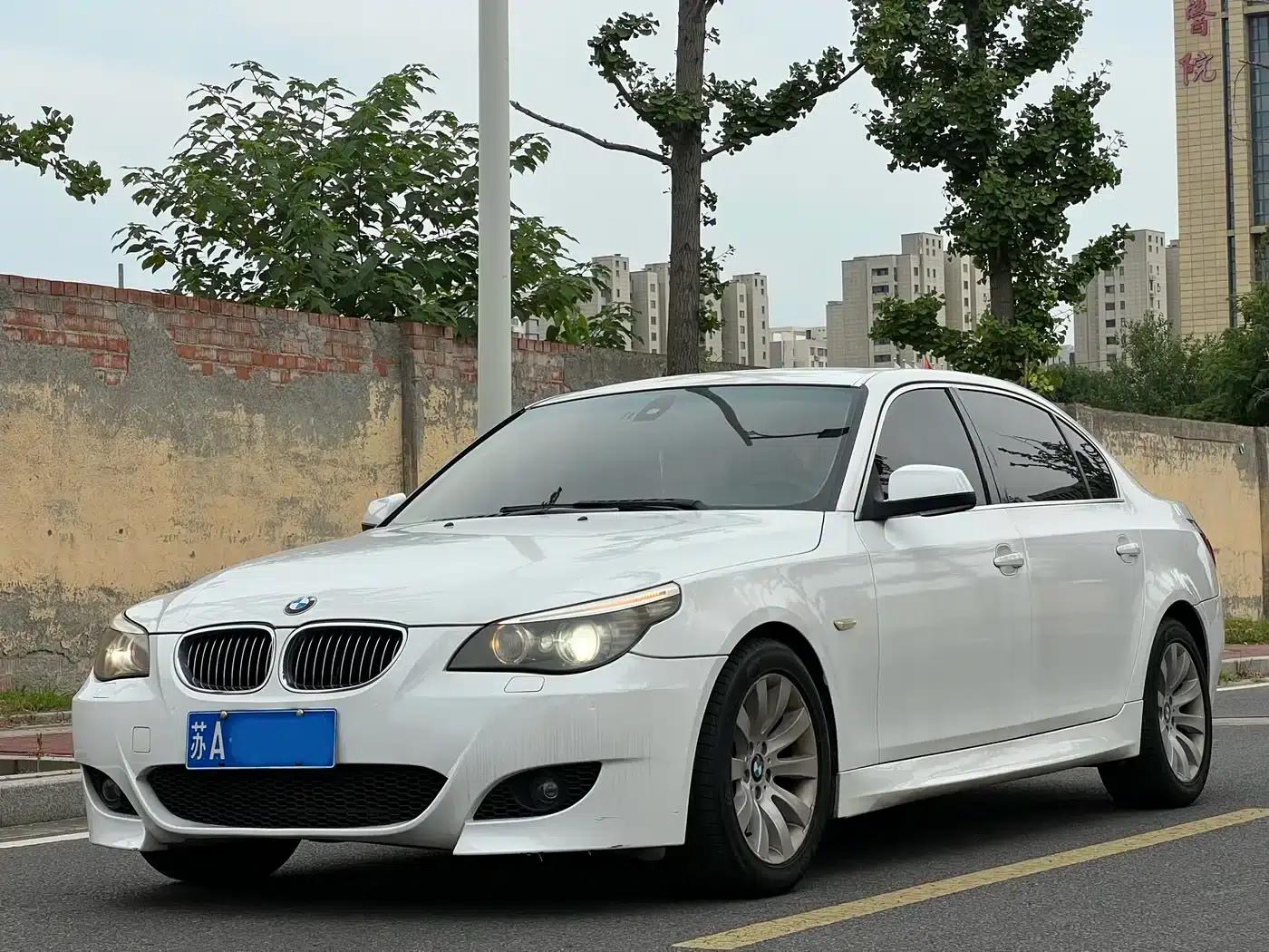 BMW 5 Series 2009 530Li Luxury — миниатюра 3
