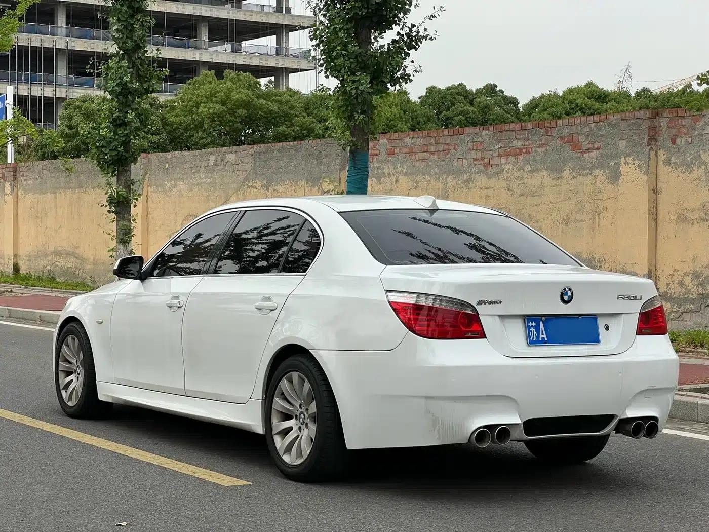 BMW 5 Series 2009 530Li Luxury — миниатюра 5