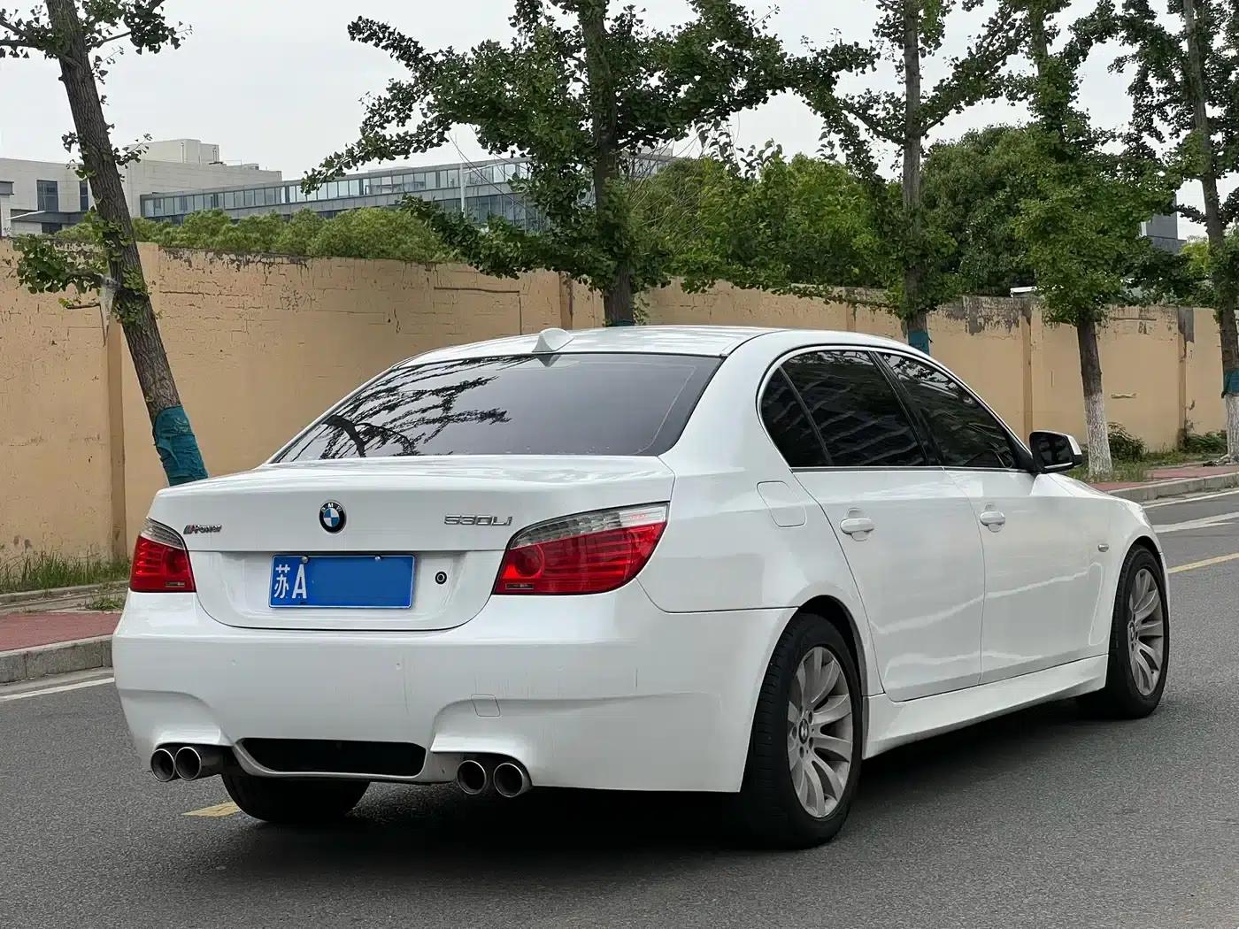 BMW 5 Series 2009 530Li Luxury — миниатюра 6