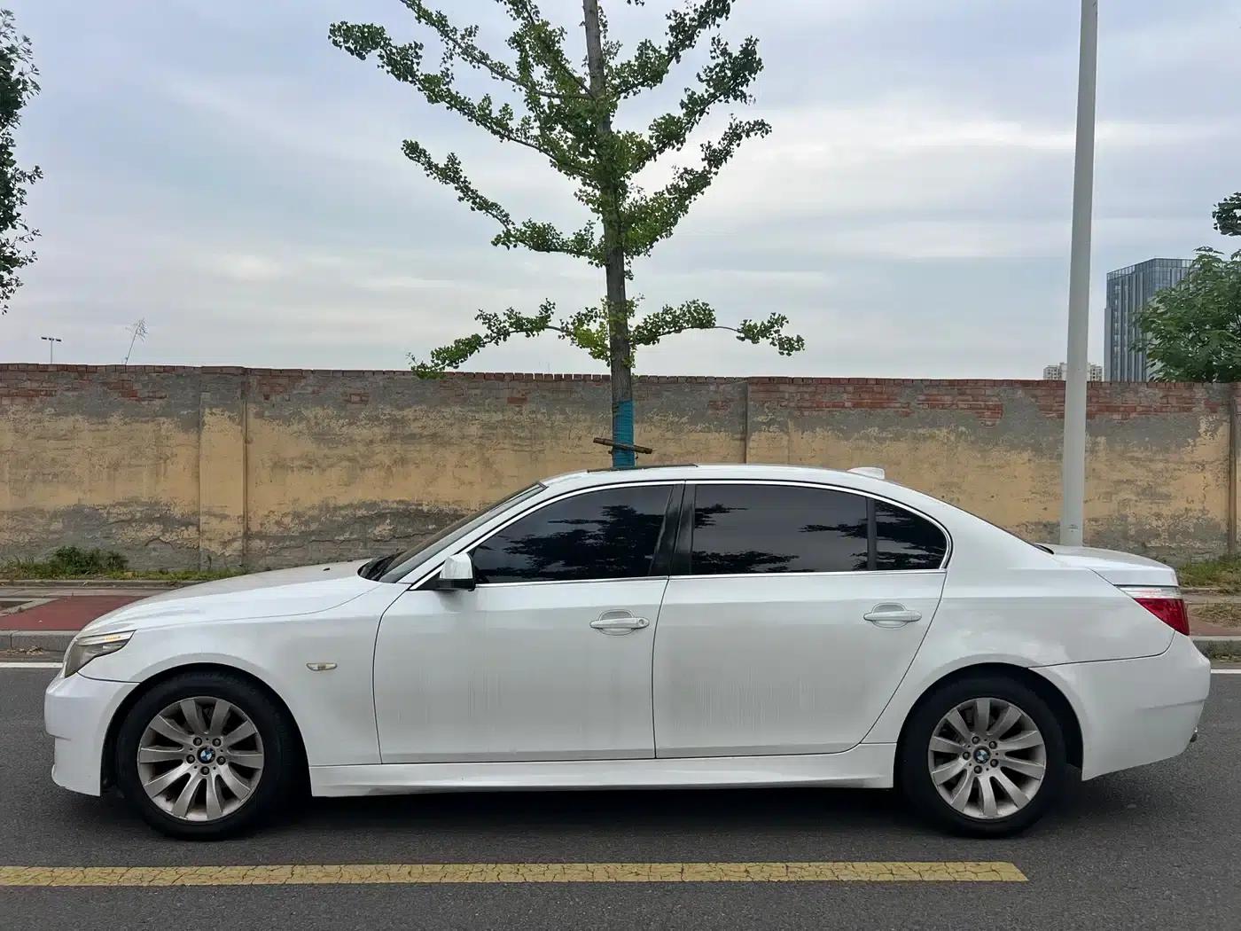 BMW 5 Series 2009 530Li Luxury — миниатюра 7