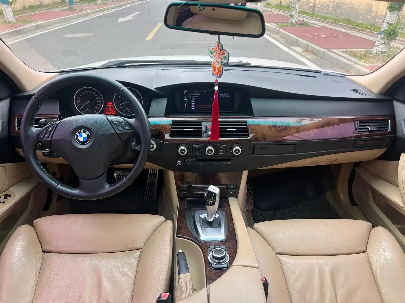 BMW 5 Series 2009 530Li Luxury — миниатюра 8