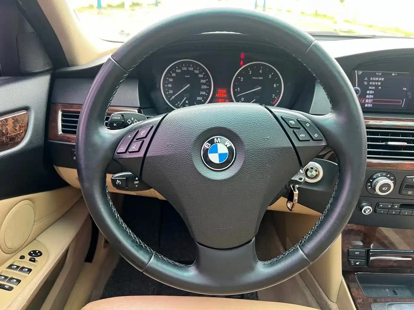 BMW 5 Series 2009 530Li Luxury — миниатюра 10