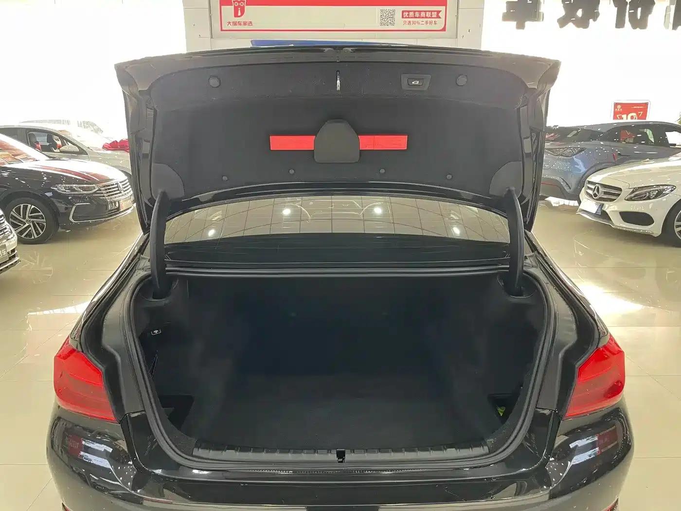 2019 BMW 5 Series 530Li xDrive Luxury Package — миниатюра 13
