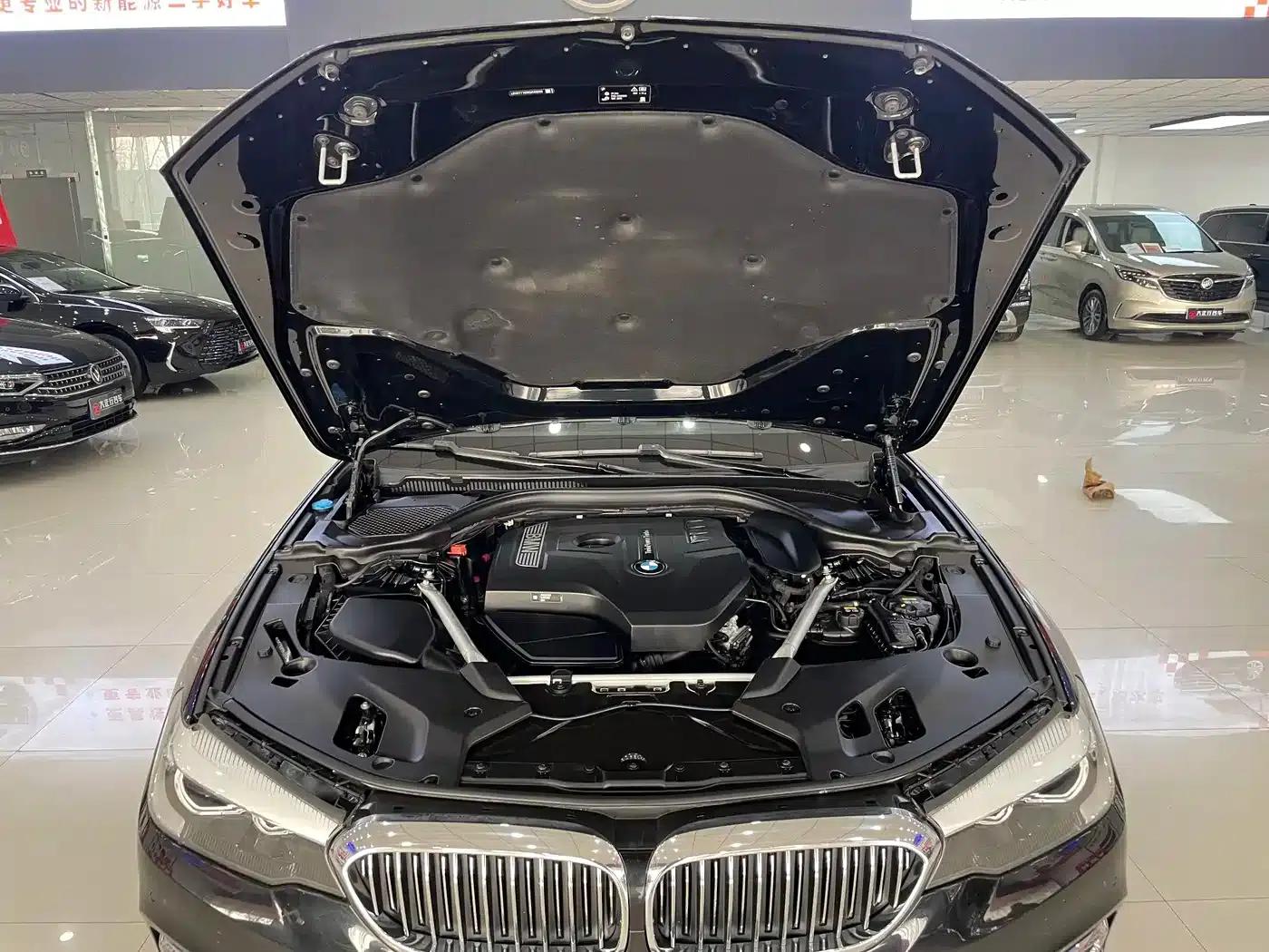 2019 BMW 5 Series 530Li xDrive Luxury Package — миниатюра 15