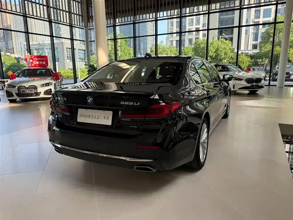 2022 BMW 5 Series Facelift 525Li Luxury Package — миниатюра 16