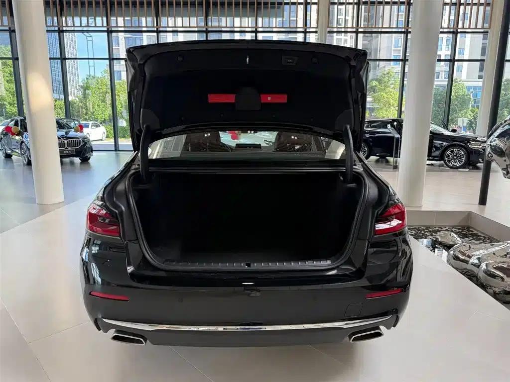 2022 BMW 5 Series Facelift 525Li Luxury Package — миниатюра 6