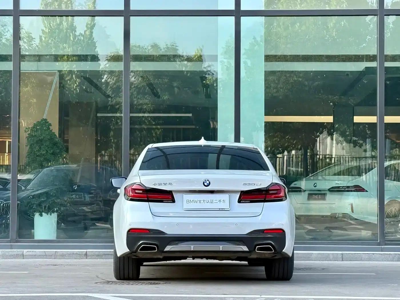 2021 BMW 5 Series 530Li Leading Edition M Sport Package — миниатюра 19