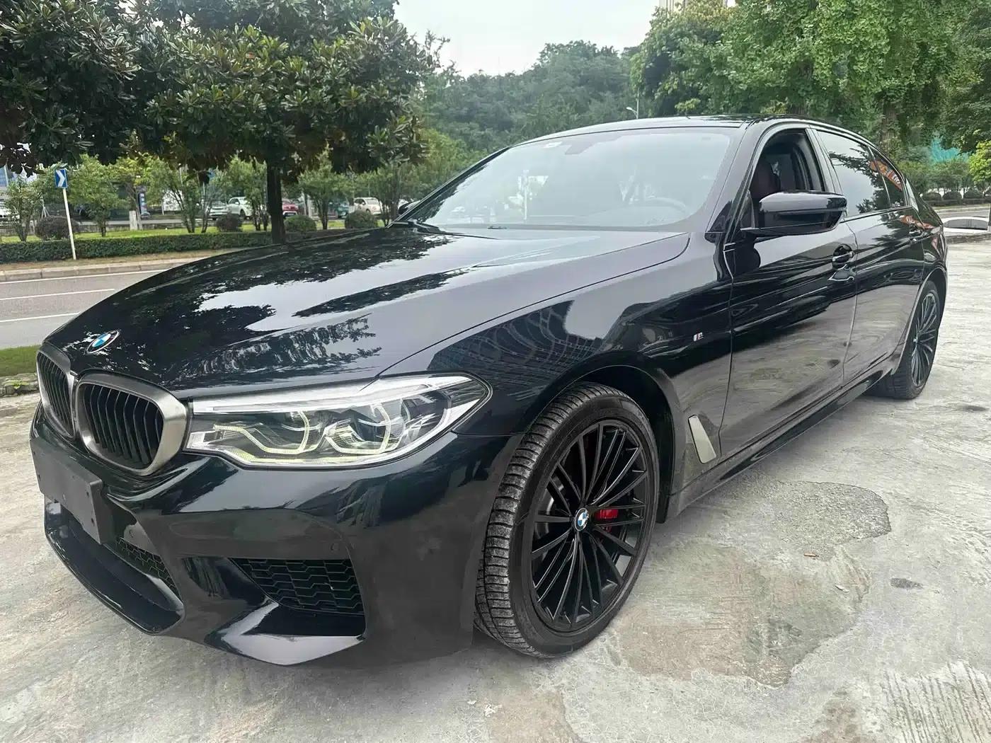 2019 BMW 5 Series 530Li Luxury M Sport Package — миниатюра 1