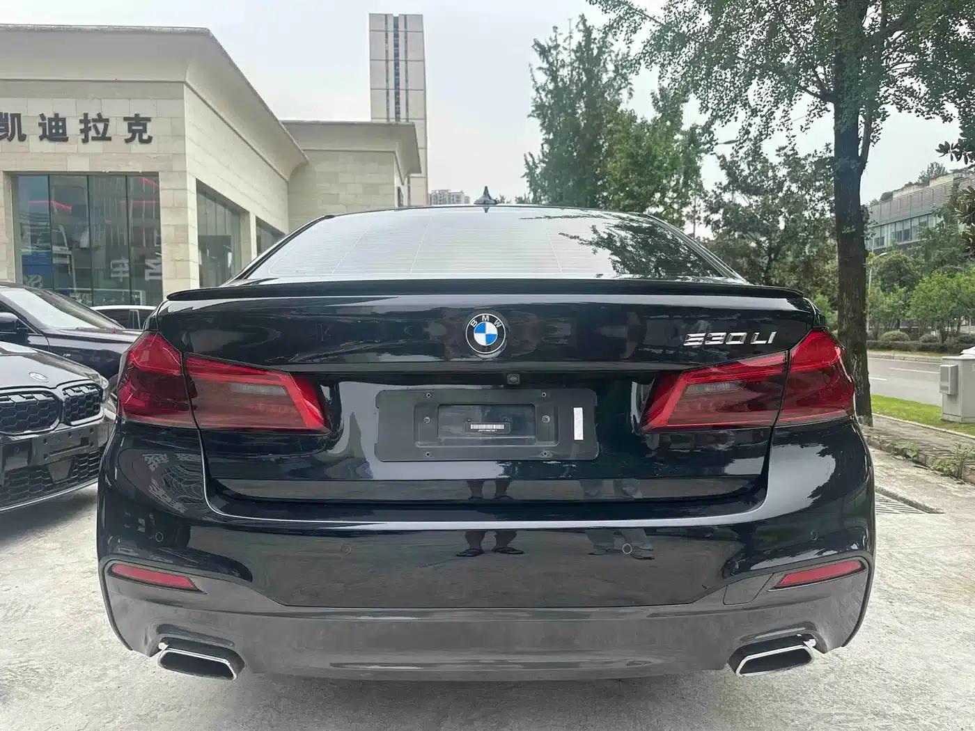 2019 BMW 5 Series 530Li Luxury M Sport Package — миниатюра 13