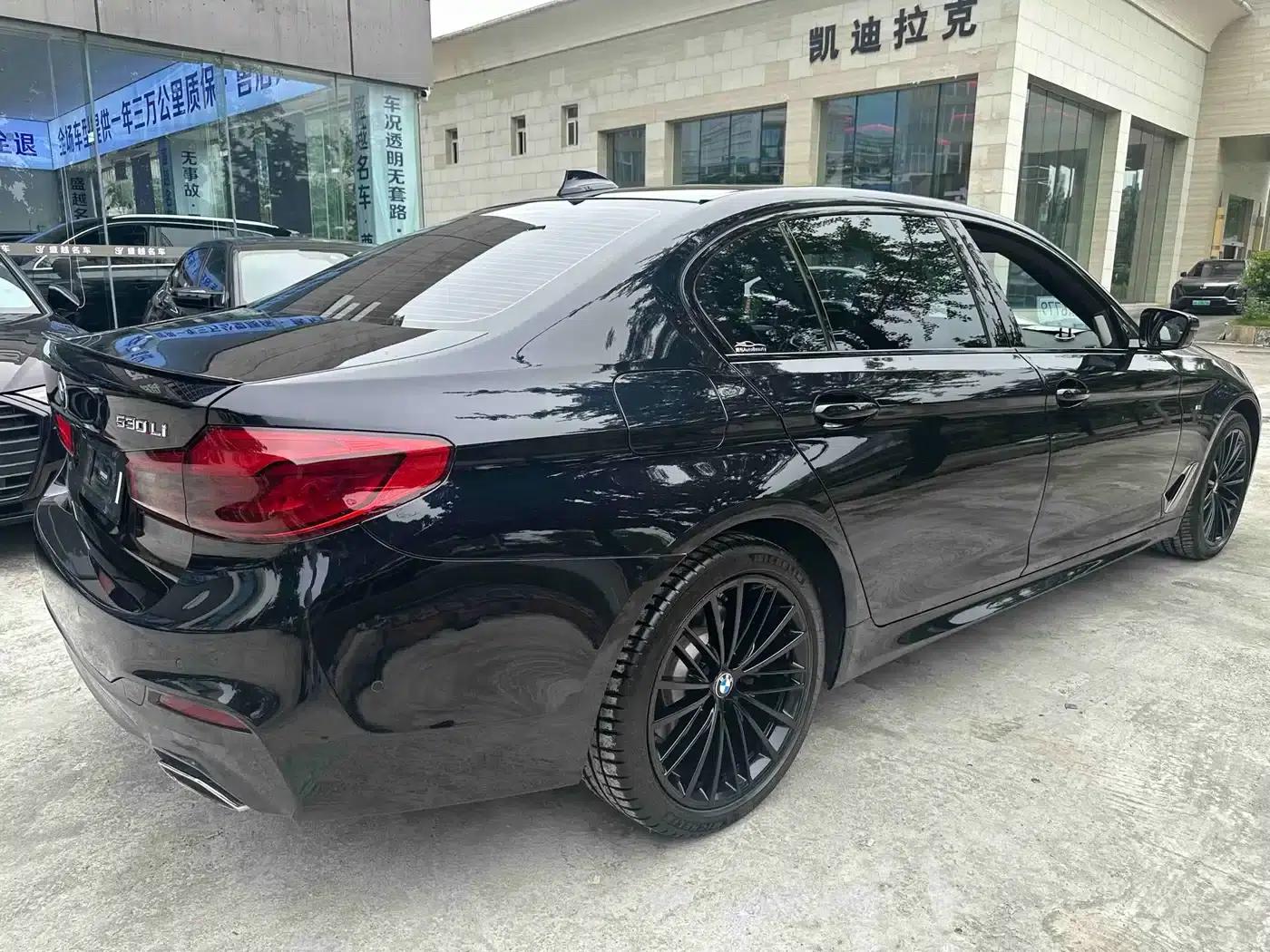 2019 BMW 5 Series 530Li Luxury M Sport Package — миниатюра 14