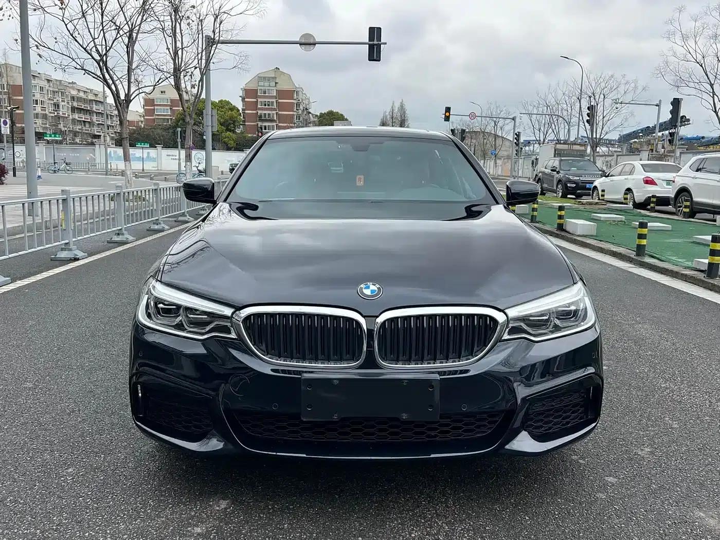 2020 BMW 5 Series 530Li Leading Edition M Sport Package — миниатюра 2