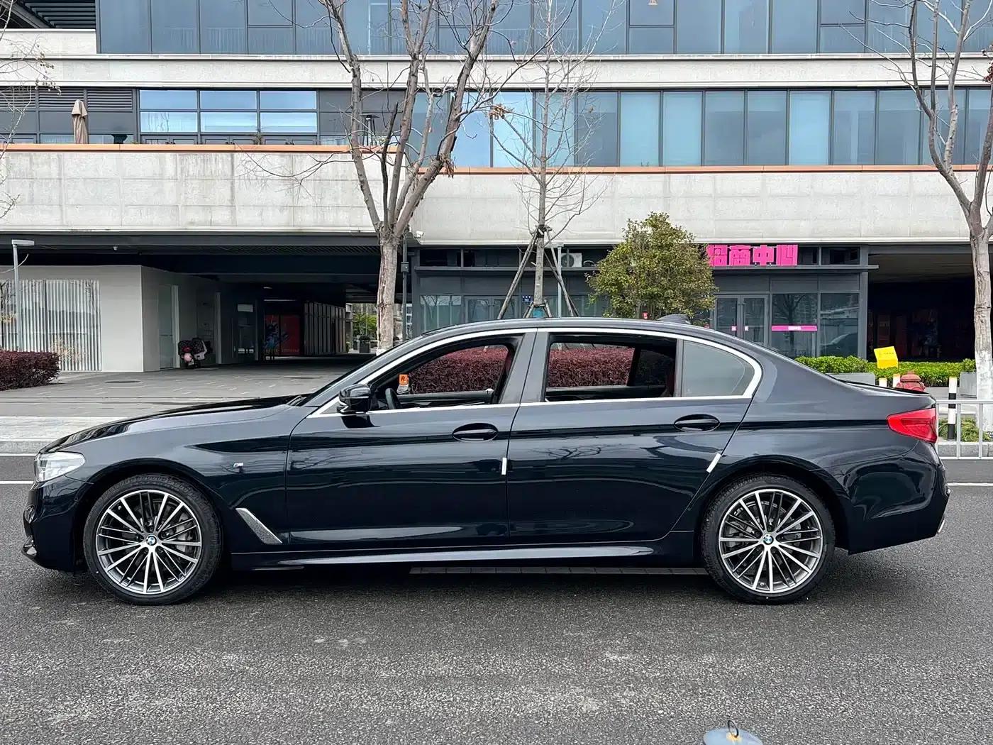 2020 BMW 5 Series 530Li Leading Edition M Sport Package — миниатюра 11