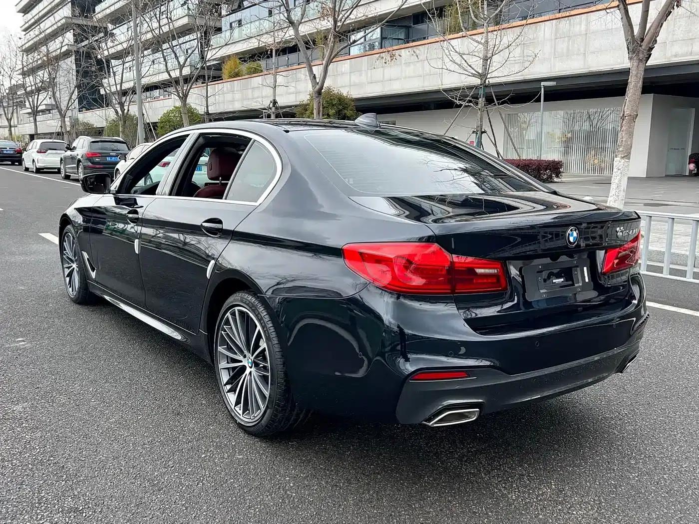 2020 BMW 5 Series 530Li Leading Edition M Sport Package — миниатюра 13