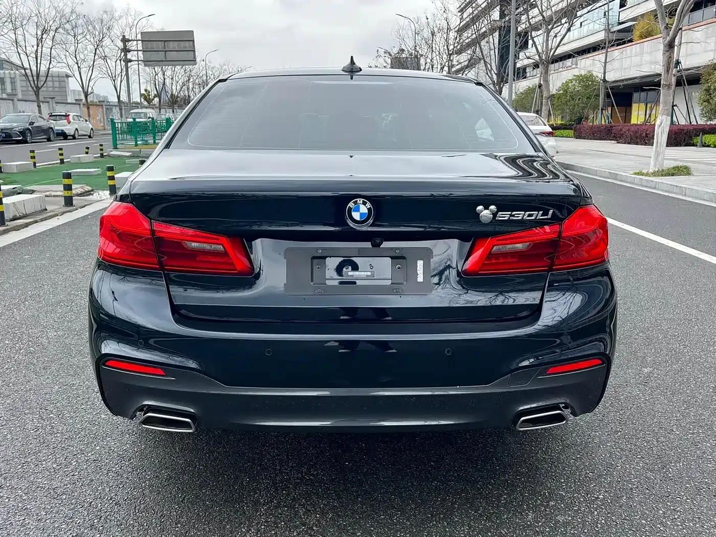 2020 BMW 5 Series 530Li Leading Edition M Sport Package — миниатюра 14