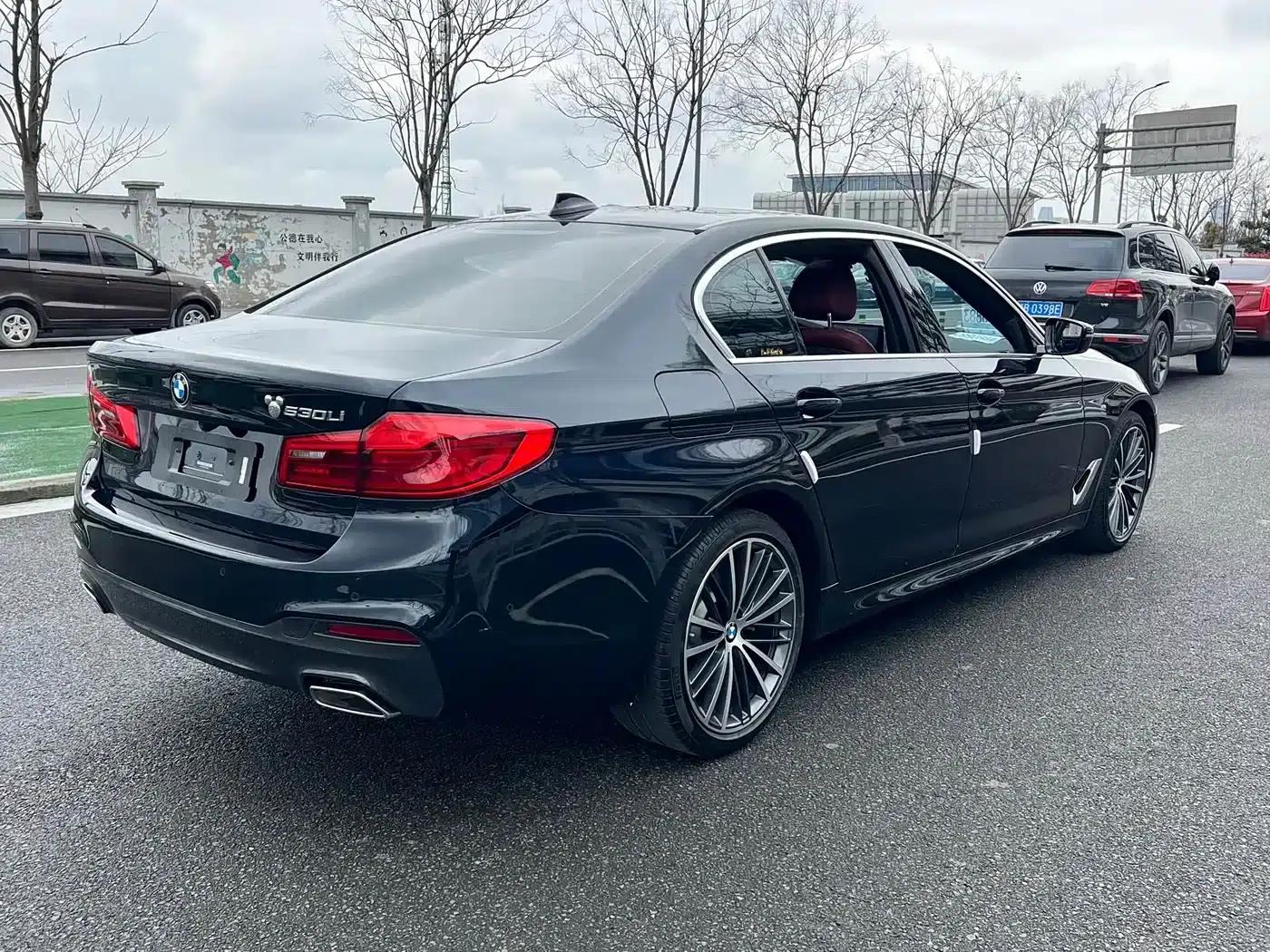 2020 BMW 5 Series 530Li Leading Edition M Sport Package — миниатюра 15