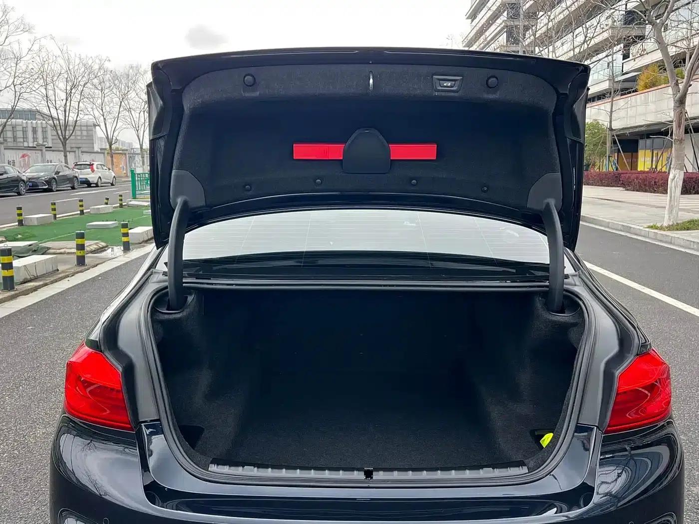 2020 BMW 5 Series 530Li Leading Edition M Sport Package — миниатюра 16